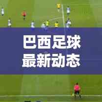 巴西足球最新動態,實時更新比分與運動員表現概覽