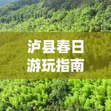 瀘縣春日游玩指南，探索春光美景，盡享愜意之旅！