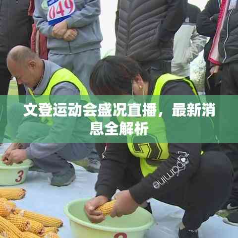 文登運(yùn)動(dòng)會(huì)盛況直播，最新消息全解析