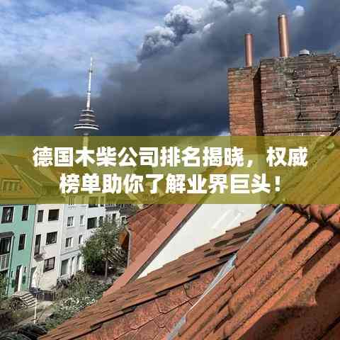 德國木柴公司排名揭曉,權威榜單助你了解業(yè)界巨頭!