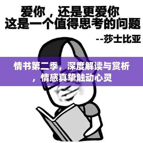 情書第二季，深度解讀與賞析，情感真摯觸動心靈