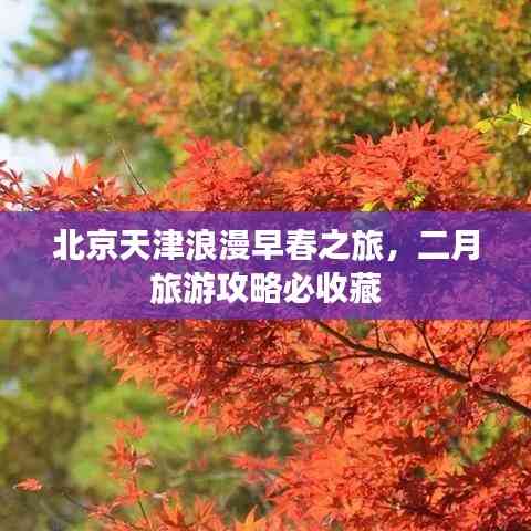 北京天津浪漫早春之旅，二月旅游攻略必收藏