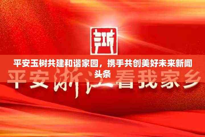 平安玉樹共建和諧家園,攜手共創美好未來新聞頭條